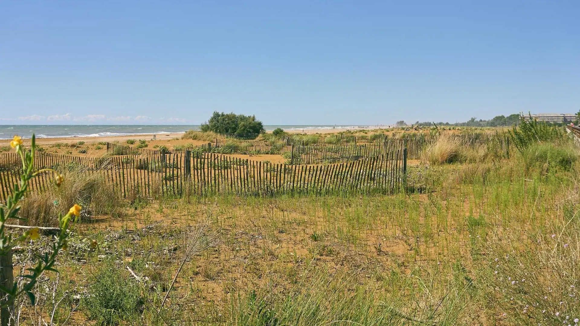 Apartment Flat 100M From The Beach With Sunny Terrace Bibione Italy